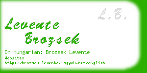 levente brozsek business card